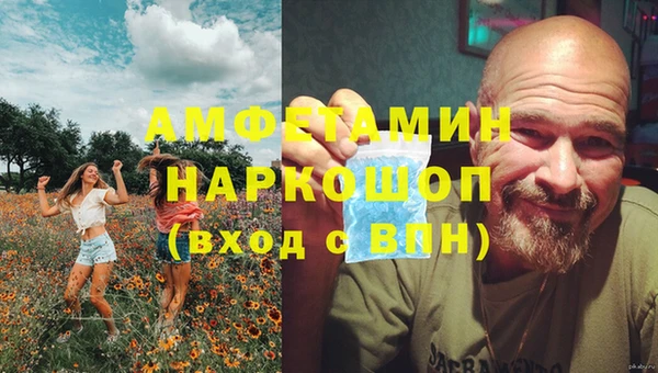 молекула духа Наволоки