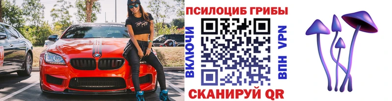 Псилоцибиновые грибы Cubensis где найти наркотики Ладушкин